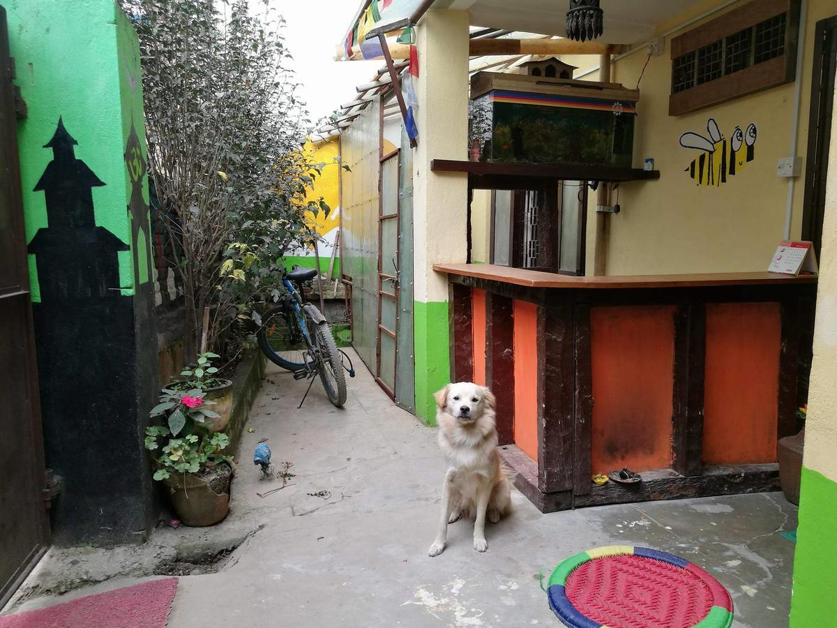 Hostel The Nepali Hive Katmandu Zewnętrze zdjęcie
